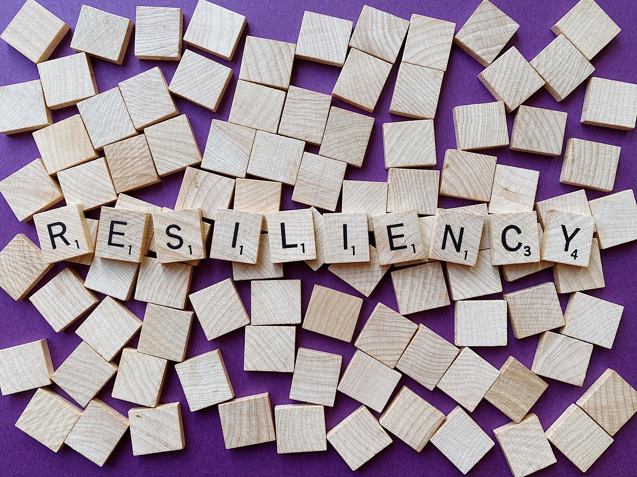 Resiliencia